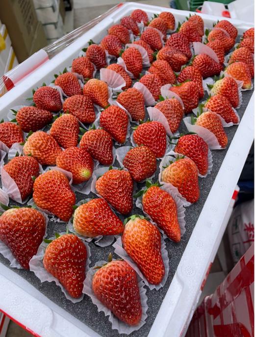 5排大板草莓一箱 商品图2