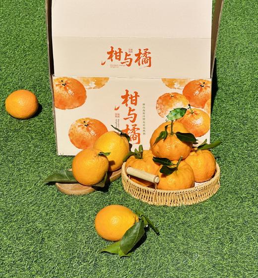 云南亿得鲜 柑与橘 商品图0