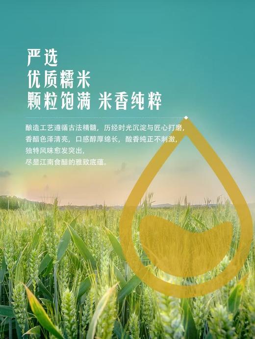 【自提】M 恒顺镇江香醋（八年陈醋）580ml*2 商品图3