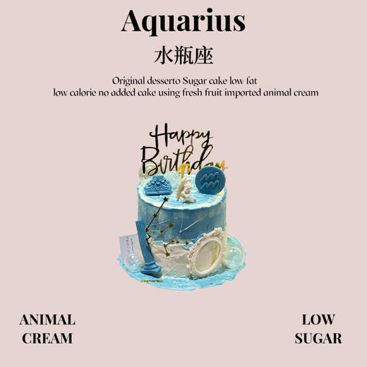 水瓶座 商品图0