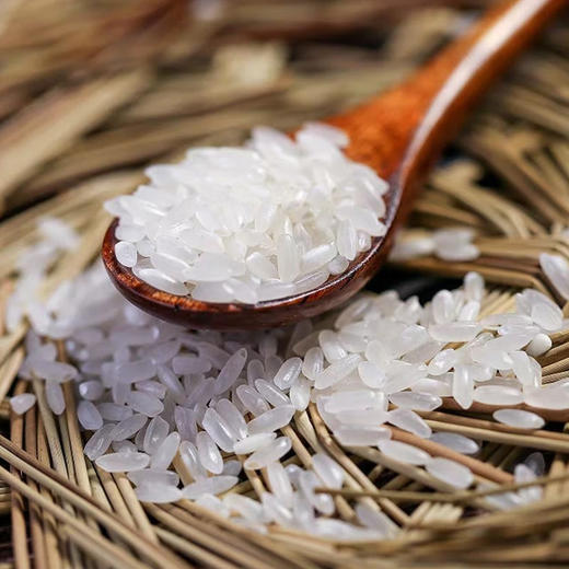 米庄国际五常大米5kg/袋 商品图4