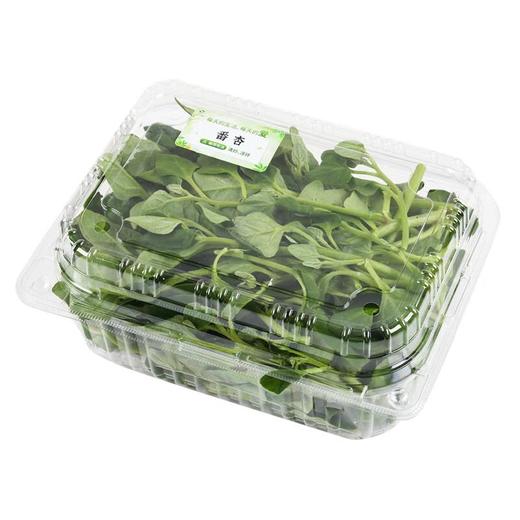 番杏叶 250g 商品图1