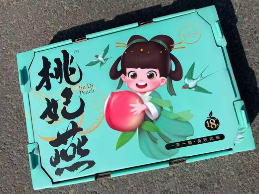 桃妃燕礼盒 商品图4