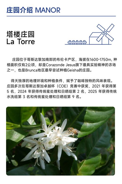 塔楼庄园 ｜橙花 白桃 甘蔗 桂圆蜜 商品图3