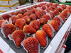 5排大板草莓一箱 商品缩略图0