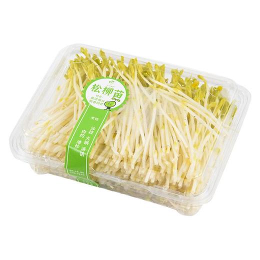 松柳苗 200g/盒 商品图3