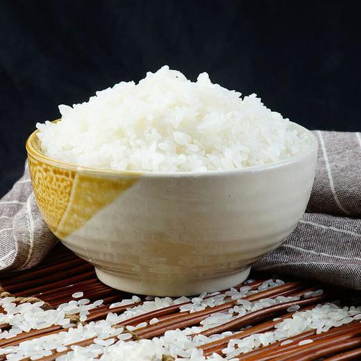 天仁道绿色五常大米5kg 商品图1