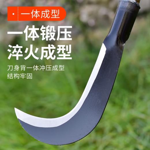 【仅限自提】丰达 农用镰刀割草刀全钢长柄多功能收割除草 长约80cm 商品图3