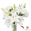 VDB百合-霞多丽 5枝一扎 商品缩略图0