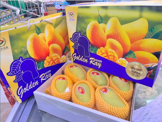 三亚芒果一箱 商品图0