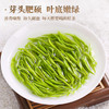 2025年新茶 武当道茶绿茶毛尖茶 大岳骞林·太极云芽红盒礼盒装 200g/盒 商品缩略图3