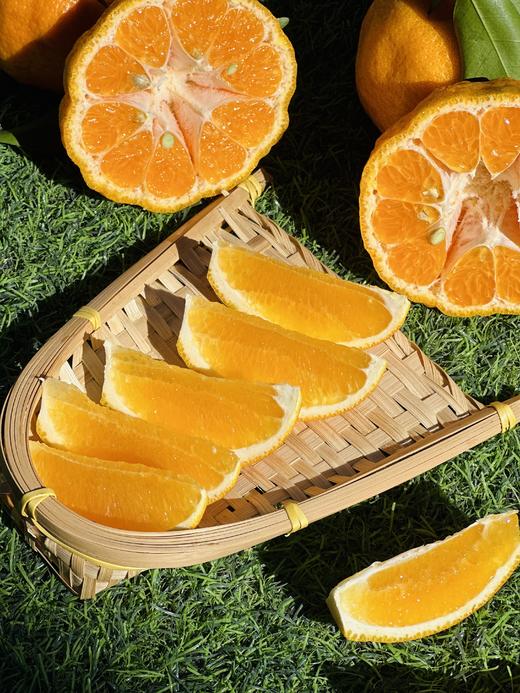 云南亿得鲜 柑与橘 商品图2