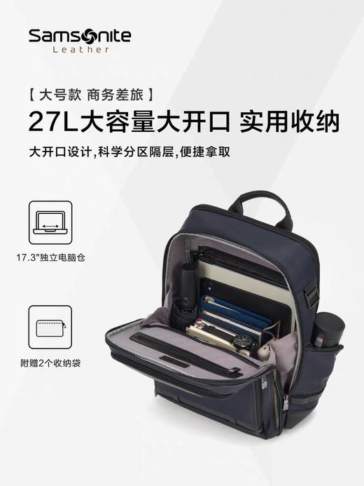 新秀丽PROLITE系列强韧休闲商务双肩包NS0 商品图5