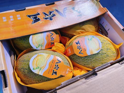 八六王蜜瓜一箱 商品图0