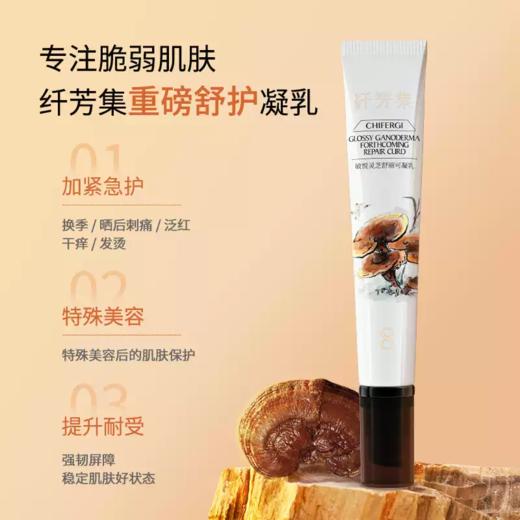 纤芳集敏悦灵芝舒丽可凝乳Ⅱ20g 商品图3