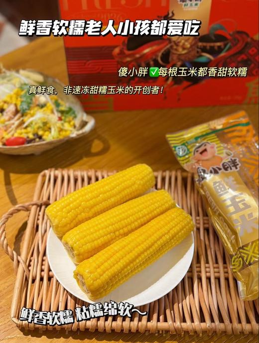 傻小胖新年礼盒2kg 商品图3