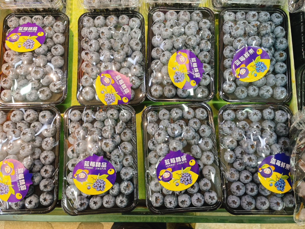 精品蓝莓一盒