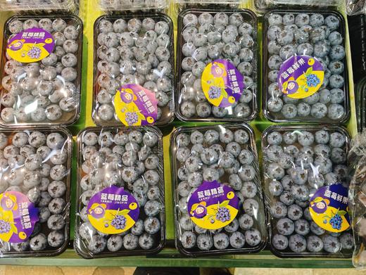 精品蓝莓一盒 商品图0