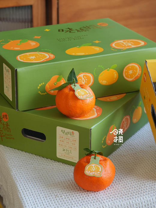 晓橘甘平橘柑 升级款的耙耙柑 柑橘中的爱马仕 商品图13