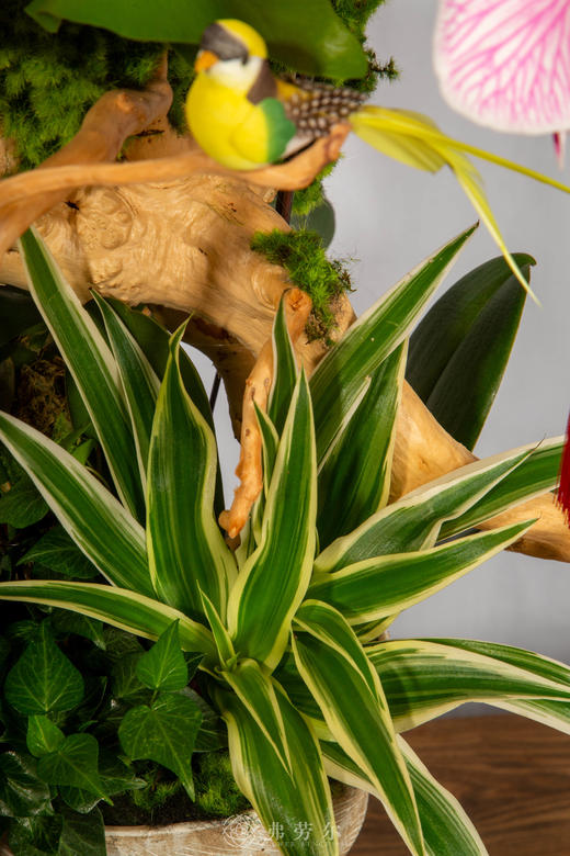 马（码）不停“绩” 商品图3