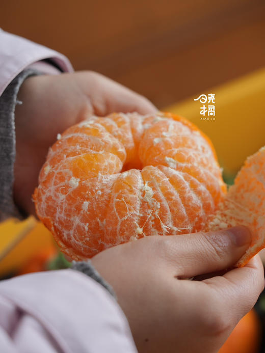 晓橘甘平橘柑 升级款的耙耙柑 柑橘中的爱马仕 商品图7