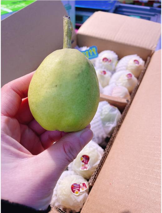 绿箱库尔勒香梨一箱 商品图2