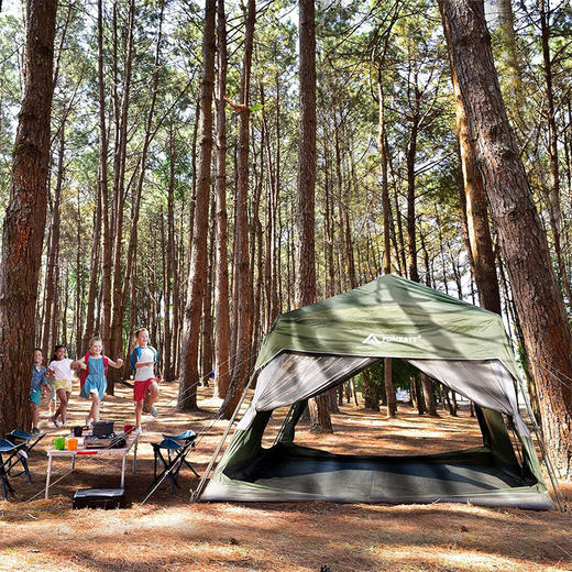 美国 Forceatt 家庭团体帐篷 10人容纳 带8个大网窗的隧道帐篷 2个房间 便携 适合露营和户外徒步 X0033ZLYFF 商品图6