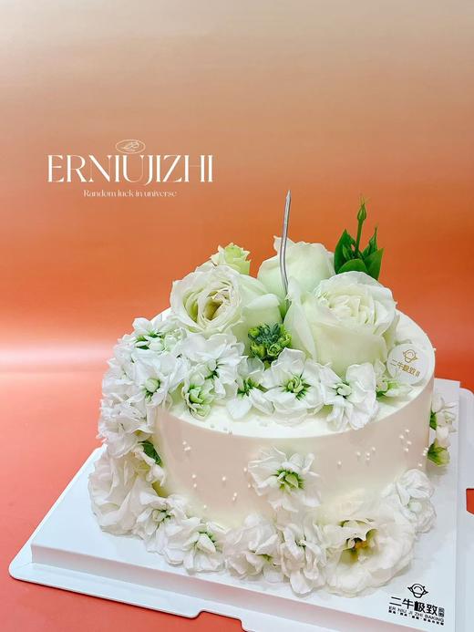 大飞燕 商品图1