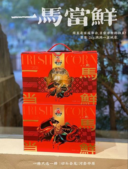 傻小胖新年礼盒2kg 商品图1
