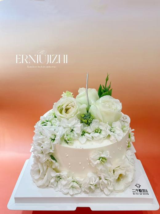 大飞燕 商品图0