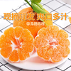 【四川眉山耙耙柑】果香浓郁鲜嫩无渣 味甜多汁 商品缩略图0