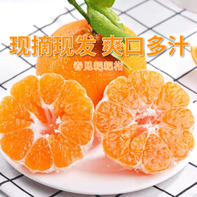 【四川眉山耙耙柑】果香浓郁鲜嫩无渣 味甜多汁
