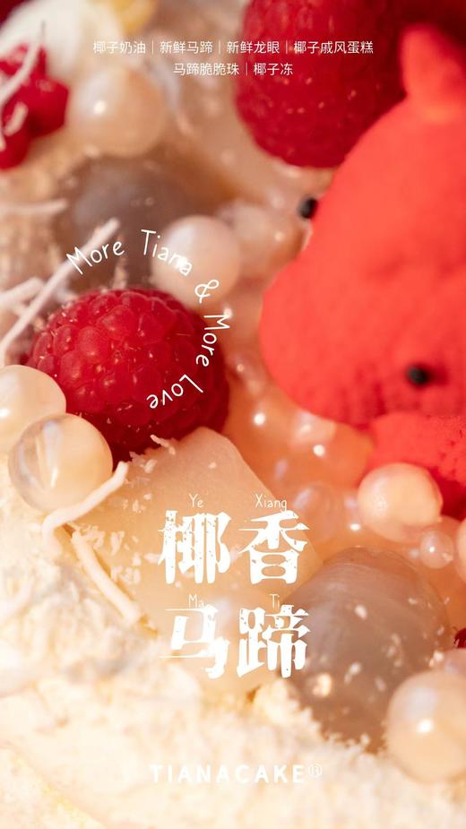 椰香马蹄 商品图1