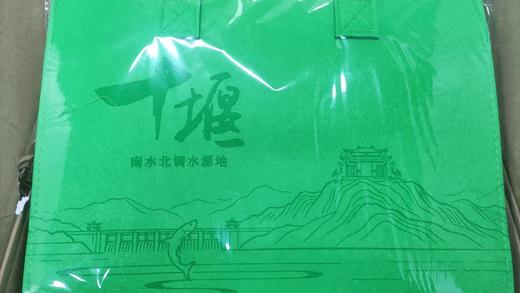 十堰绿色手提袋 商品图0