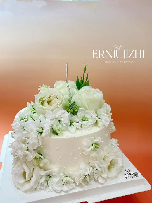 大飞燕 商品图2