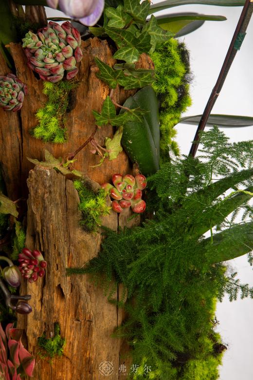 马（码）上云端 商品图4