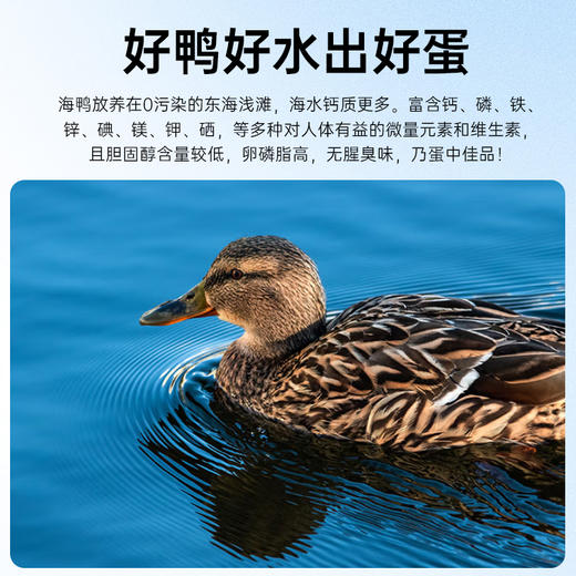 初生海鸭蛋900克（20只）礼盒 商品图4