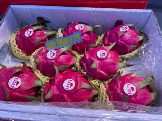 红心火龙果礼盒 商品图3