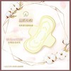 苏菲卫生巾175mm*14片贵族棉裸感S迷你巾姨妈巾量少日用 商品缩略图3