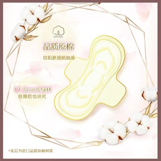 苏菲卫生巾175mm*14片贵族棉裸感S迷你巾姨妈巾量少日用 商品图3