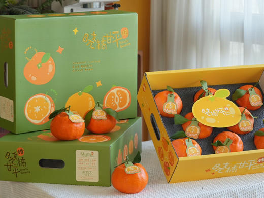晓橘甘平橘柑 升级款的耙耙柑 柑橘中的爱马仕 商品图4
