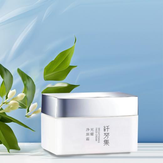 纤芳集光耀净颜霜29g 商品图3