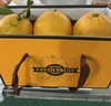 基地直采-鸡尾葡萄柚礼盒（约3kg/盒）【GY】 商品缩略图2