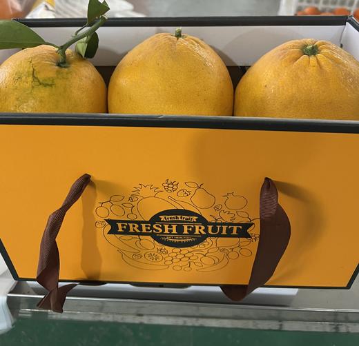 基地直采-鸡尾葡萄柚礼盒（约3kg/盒）【GY】 商品图2