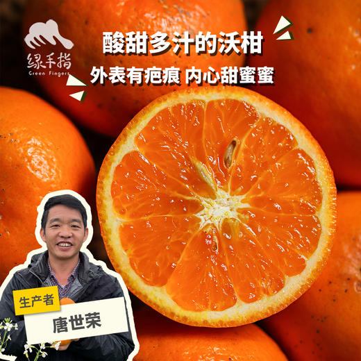 有机沃柑（广西）| 合作生产*Organic orah | Partner Production 商品图0