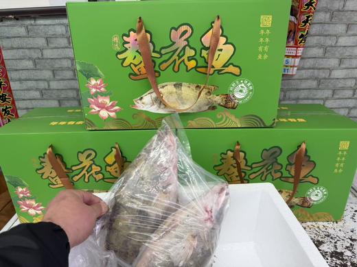 鳌花鱼一箱 商品图0