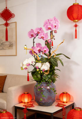 马（码）力十足