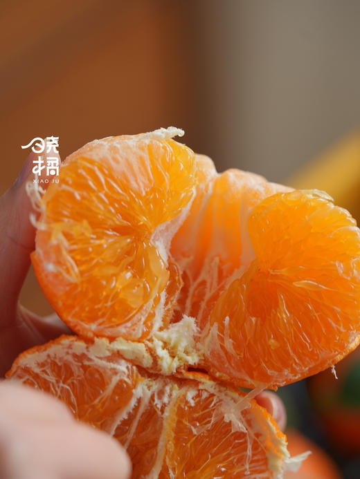 晓橘甘平橘柑 升级款的耙耙柑 柑橘中的爱马仕 商品图9