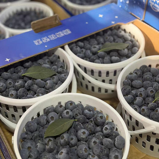 云南「花香脆蓝莓」大果18mm➕ 1kg 商品图7