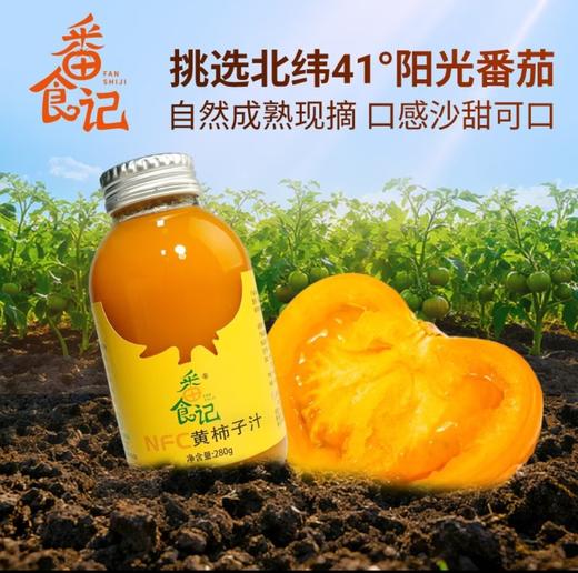 五原黄柿子番食记黄柿子汁礼盒（280g*8瓶） 商品图3